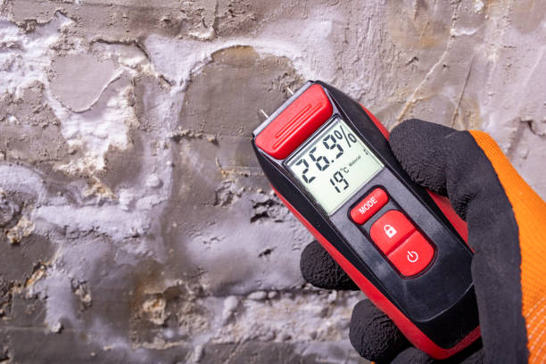 Best Residential Mold Remediation in Jupiter Farms, FL